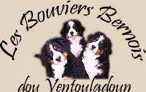 dou Ventouladoun